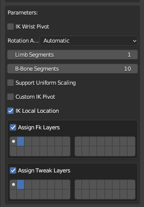 Rigify Parameters